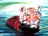 /album/gli-animali/animals-tigre-indiana-1987-jpg/